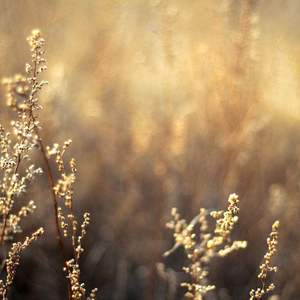 美女脱光光网站
