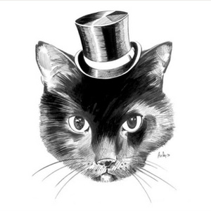 美女脱光光网站
